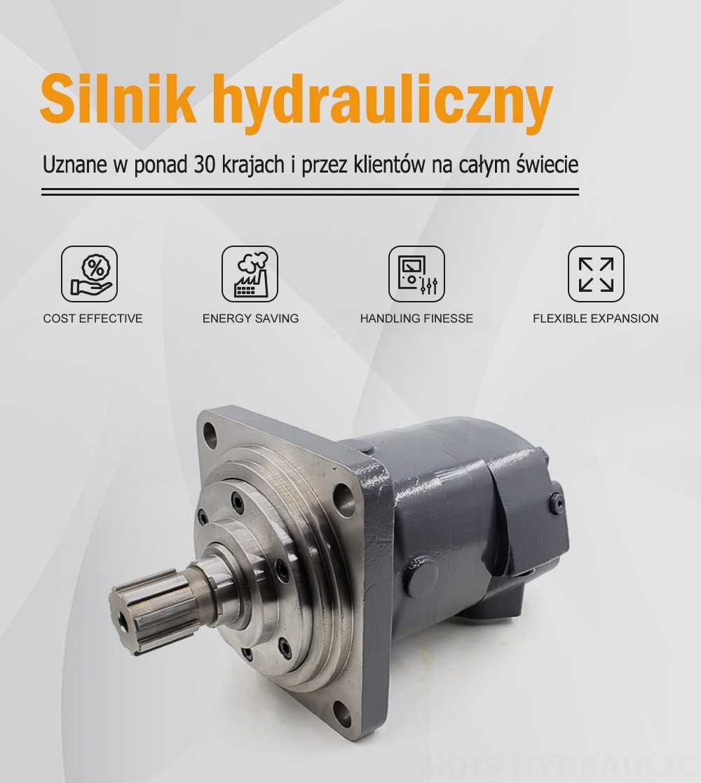 BM6_Silnik hydrauliczny Cycloidalny-2 245 cm³/obr 150 l/min Silnik hydrauliczny